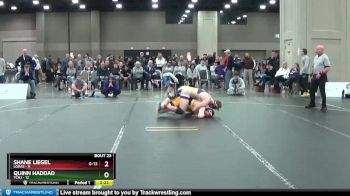 184 lbs Semis & 3rd Wb (16 Team) - Shane Liegel, Loras vs Quinn Haddad, TCNJ