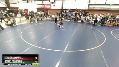 52 lbs Quarterfinal - Damon Anderson, North Sanpete Hawk Wrestling vs Cooper Loveless, Payson Lions Wrestling Club