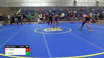 163 lbs Champ. Round 3 - Devin Halliday, Delaware Hayes High School vs Aydan George, Centerville