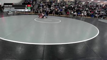 157 lbs Cons. Round 3 - Walker Cook, Kearney High School vs Gavin Rice, D3