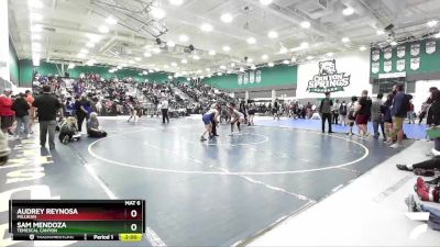 160 lbs Quarterfinal - Sam Mendoza, Temescal Canyon vs Audrey Reynosa, Millikan