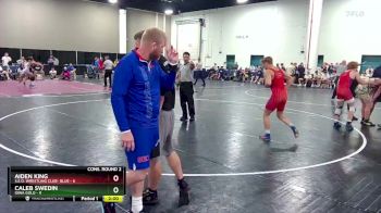 138 lbs Semis & Wb (16 Team) - Caleb Swedin, Iowa Gold vs Aiden King, S.E.O. Wrestling Club- Blue