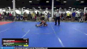 56 lbs Round 1 (10 Team) - Nico DeStefano, Yale Street vs Seamus Healey, Colon Trained