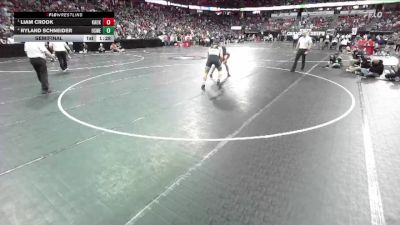 D1-175 lbs Semifinal - Liam Crook, Kaukauna vs Ryland Schneider, Oshkosh West