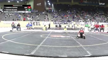 106 lbs Cons. Round 2 - Trevor Wilson, Pleasure Ridge Park vs Camryn Coffey, Madison Central