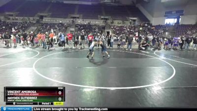 93-98 lbs Quarterfinal - Vincent Amorosa, Black Fox Wrestling Academy vs Hayden Gutierrez, Animal House Wrestling