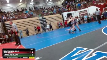 149 lbs 7th Place Match - James Escaloni, Woodford Co. Wrestling vs Brayden Dejesus, Perry Meridian