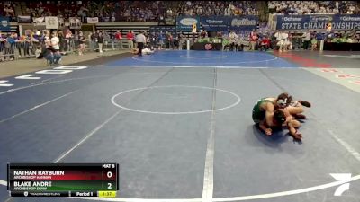 D 3 120 lbs Semifinal - Nathan Rayburn, Archbishop Hannan vs Blake Andre, Archbishop Shaw