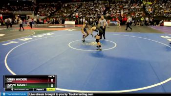 Semifinal - Roman Kolbet, Gibbon vs Derek Wacker, Yutan