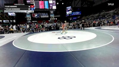 126 lbs Champ. Rd Of 64 - Tyler Herring, GA vs Dylan Sorensen, WY
