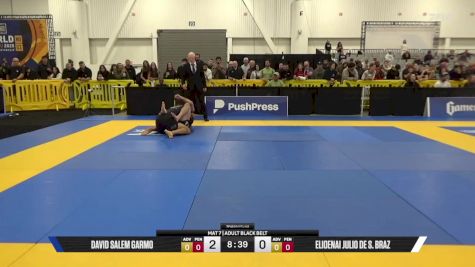 Elioenai Julio De S. Braz vs David Salem Garmo 2025 World IBJJF Jiu-Jitsu No-Gi Championship
