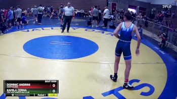 108 lbs Quarterfinal - Dominic Andrini, UNATTACHED vs Kamila Cerna, Top Dog Wrestling Club