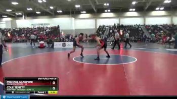 174 lbs Placement Matches (16 Team) - Cole Tenety, Reinhardt University (GA) vs Michael Scarponi, Doane University