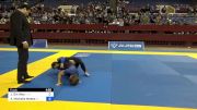 Jessica Gin Woo vs Amy Michelle Meeks 2024 Pan IBJJF Jiu-Jitsu No-Gi Championship