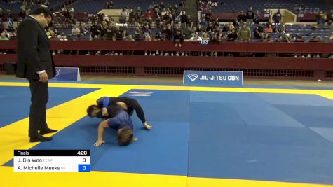 Jessica Gin Woo vs Amy Michelle Meeks 2024 Pan IBJJF Jiu-Jitsu No-Gi Championship