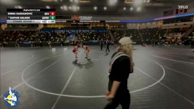 190 lbs Champ. Round 1 - Emma Damjanovic, New Hampton vs Sophie Kelner, Lockport (Twp.)