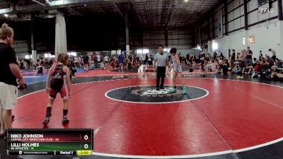 75 lbs Finals (4 Team) - Niko Johnson, CAPITAL CITY WRESTLING CLUB vs Lilli Holmes, 84 ATHLETES