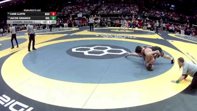 D1-190 lbs Champ. Round 1 - Liam Lloyd, Mentor vs Jacob Granick, Wor. Kilbourne