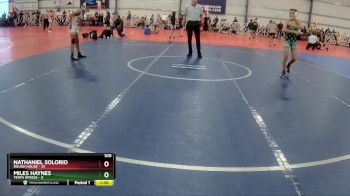100 lbs Rd# 8- 12:30pm Saturday Final Pool - Miles Haynes, Terps Xpress vs Nathaniel Solorio, Rough House