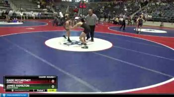 5A 145 lbs Champ. Round 1 - James Hamilton, Benton High vs Gage McCartney, Russellville High