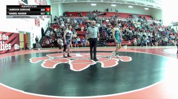 165 lbs Quarterfinal - Nabiel Qasem, Westlake vs Jamison Gurchie, Barberton
