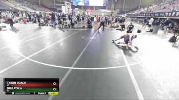 113 lbs Quarterfinal - Tyson Roach, LA vs Dru Ayala, IA