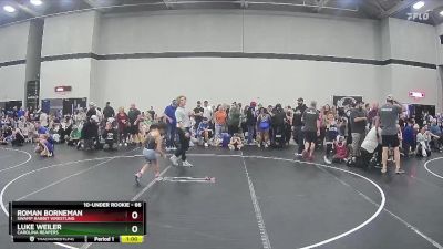 66 lbs Round 3 - Roman Borneman, Swamp Rabbit Wrestling vs Luke Weiler, Carolina Reapers