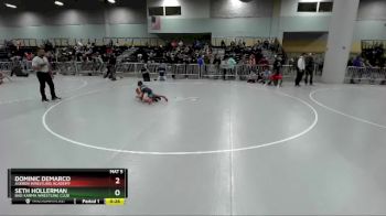 71 lbs Quarterfinal - Dominic DeMarco, Askren Wrestling Academy vs Seth Hollerman, Bad Karma Wrestling Club