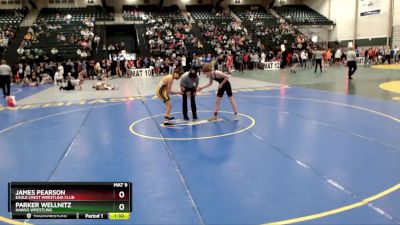 126 lbs Champ. Round 2 - Parker Wellnitz, Hawks Wrestling vs James Pearson, Eagle Crest Wrestling Club