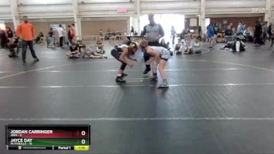 95 lbs Round 2 (6 Team) - Jayce Day, Mi Pitbulls vs Jordan Carringer, Ares