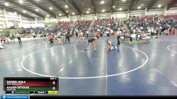 165 lbs Cons. Round 4 - Damien Avila, East Idaho Elite vs Kaizen Detoles, Westlake