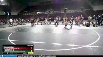 71 lbs Round 5 (10 Team) - Nester Pino, Colorado Regulators Wrestling Club vs Gavin Stow, Victory Training Center