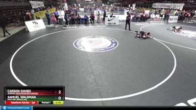 87 lbs Semifinal - Samuel Waldman, MatTime Wrestling vs Carson Davies, Sunkist Kids/Monster Garage