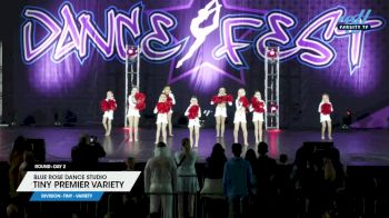 Blue Rose Dance Studio - Tiny Premier Variety [2025 Tiny - Variety Day 2] 2025 DanceFest Grand Nationals