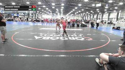 138 lbs Rr Rnd 1 - Brandon Vinson, Ohio Titan Gold - HSB vs David Strober, North Hunterdon - HSB