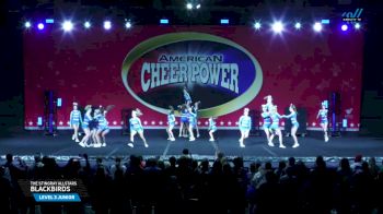 The Stingray Allstars - Blackbirds [2025 L3 Junior Day 2] 2025 Cheer Power Grand Nationals