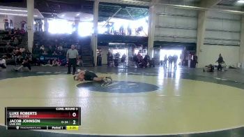 125 lbs Cons. Round 3 - Luke Roberts, Bluefield State vs Jacob Johnson, Lake Erie