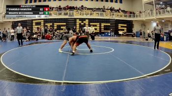 285 lbs Consy 4 - D'Angelo Hamilton, Fox Chapel vs Bradyn McConneha, North Allegheny