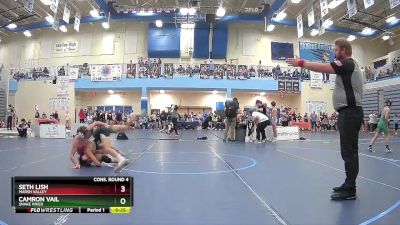 126 lbs Cons. Round 4 - Seth Lish, Marsh Valley vs Camron Vail, Snake River