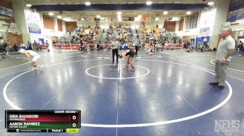138 lbs Champ. Round 1 - Aaron Ramirez, Victor Valley vs Aria Bahadori, Woodbridge