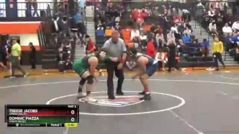 195 lbs Cons. Round 4 - Dominic Piazza, Virgin Valley vs Treese Jacobs, Spring Valley