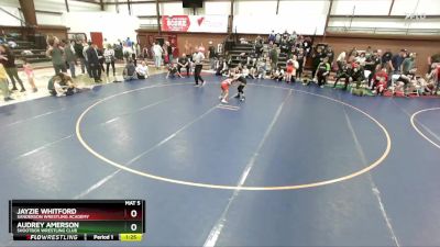 55 lbs Semifinal - Jayzie Whitford, Sanderson Wrestling Academy vs Audrey Amerson, Shootbox Wrestling Club