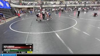 171 lbs Quarterfinal - Seth Greeno, LAW - Lacrosse Area Wrestlers vs Hunter Ramsdell, LITTLE FALLS