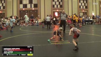 52 lbs Round 4 (6 Team) - Sam Levine, SVRWC Gold vs Anthony Defilippis, Yale Street WC