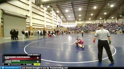 126 lbs Champ. Round 2 - Logan Norton, Lone Peak vs Alexander Montenegro-Mendez, Logan