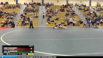 165 lbs Cons. Semi - Coy Gunderson, Augustana vs Joey Mushinsky, University Of Mary