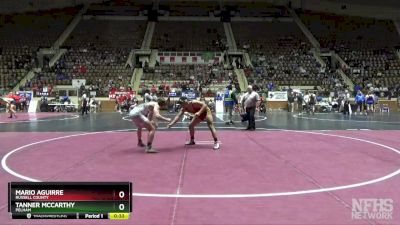 6A 175 lbs Cons. Round 2 - Tanner Mccarthy, Pelham vs Mario Aguirre, Russell County