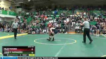 126 lbs Semifinal - Milan Parobek, ASHLAND vs Vinnie D` Alessandro, MAYFIELD