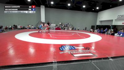 165 lbs Rocco Cassioppi, Illinois Freestyle vs Joe Bachmann, Pennsylvania Blue