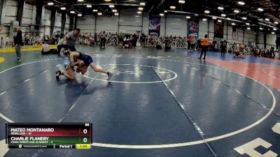 88 lbs Rd# 8- 12:30pm Saturday Final Pool - Charlie Flanery, Lions Wrestling Academy vs Mateo Montanaro, Rebellion